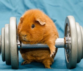 验血查出卵泡（验血查出卵泡正常吗）