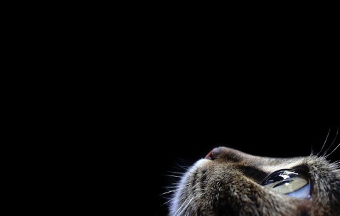 合肥捐卵中介联系方式，这4家技术好的机构全在这里！