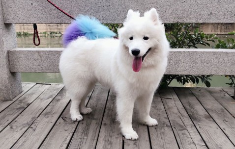 合肥捐卵怎么找正规机构，附试管中心捐卵过程解析！