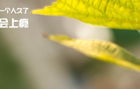 卵泡长了6个（卵泡6天长了3毫米）