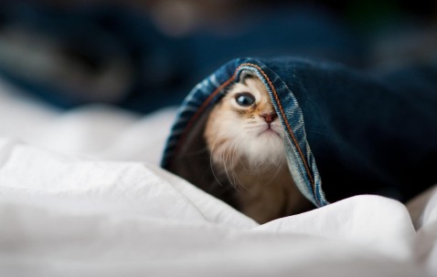 合肥捐卵中介联系方式，试管捐卵助孕攻略参考！