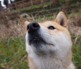 口腔护理套装好健康儿童（口腔护理套装好健康儿童用吗）