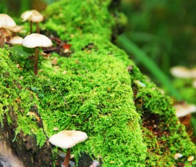 包含2017同济试管成功率的词条