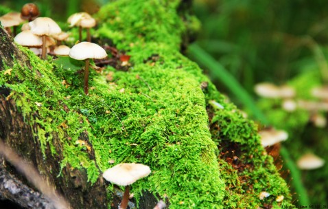 包含2017同济试管成功率的词条