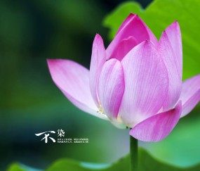 试管成功率跟什么有关（试管的成功率和哪些因素有关）