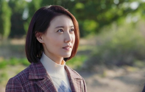 合肥捐卵中介联系方式，附正规捐卵价目一览表！