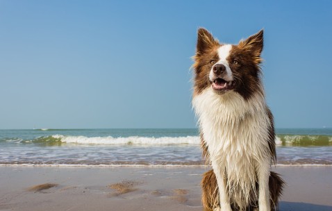 怀孕初期会有例假痛么（孕早期会有姨妈痛感吗）