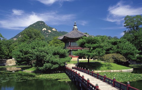 合肥捐卵怎么找正规机构，附2024捐卵试管攻略！