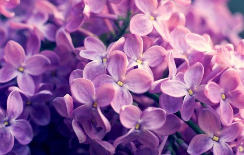 合肥哪里做试管婴儿供卵不用等，2024申请供卵需要排队吗！（合肥 试管）