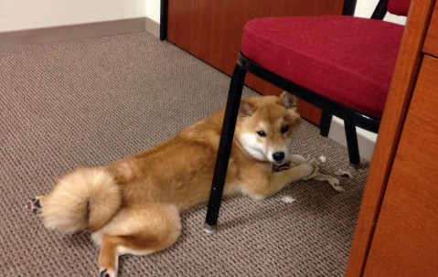 卵泡啥吸清（卵泡清洗是什么意思）