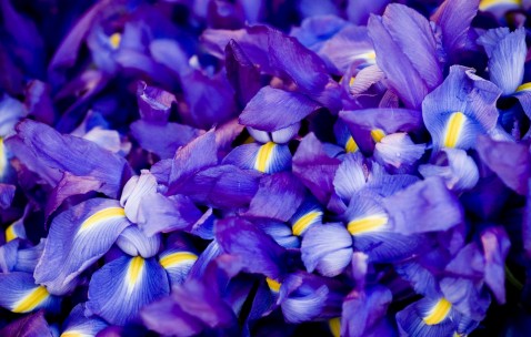 合肥供卵试管价格表公布，三代供卵需要花费明细！（合肥 试管）