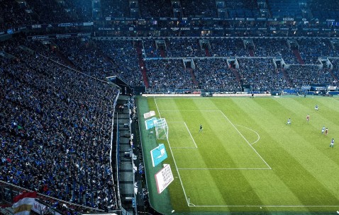 卵泡分开（卵泡分隔怎么回事）