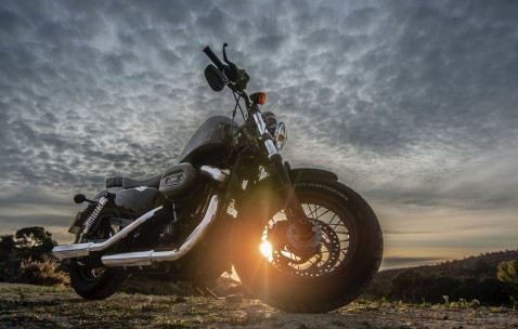 卵泡准吗（卵泡卵泡）