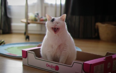 音乐胎教时宝宝的反应