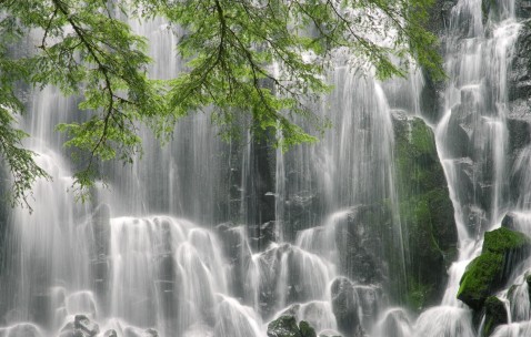 试管婴儿成功率有多少?（46做试管婴儿成功率有多少）