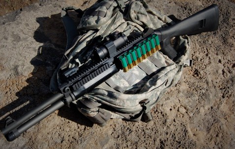 怀孕初期一般吃什么菜（怀孕初期吃什么菜食谱大全）