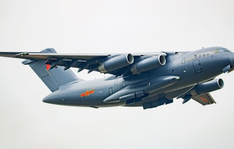 怀孕初期吃鸡肝好不好（孕早期吃鸡肝）