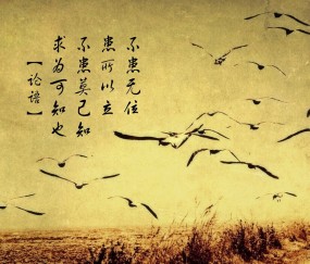 刚怀孕有点出血严重吗正常吗