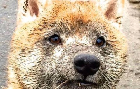 合肥正规供卵试管医院盘点，附供卵流程与成功率！（合肥做试管婴儿的全部费用大概是多少）