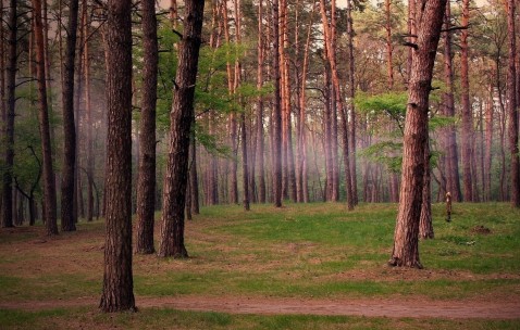怀孕初期生化妊娠后注意（怀孕初期生化后需要做什么检查）