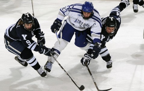 多卵泡样（多卵泡样表现）