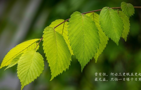 合肥供卵试管费用详情一览，2024申请供卵需要排队吗！（合肥供卵试管机构）