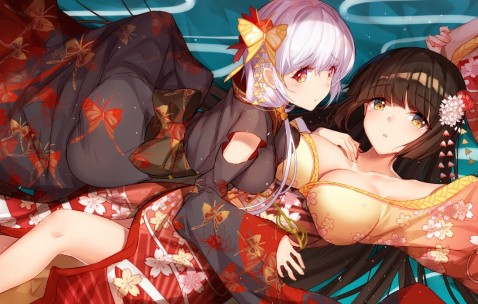 猫卵泡发育（猫咪卵泡图片）