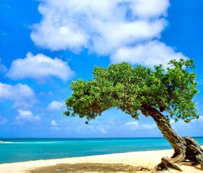 内窦卵泡均（b超窦卵泡）