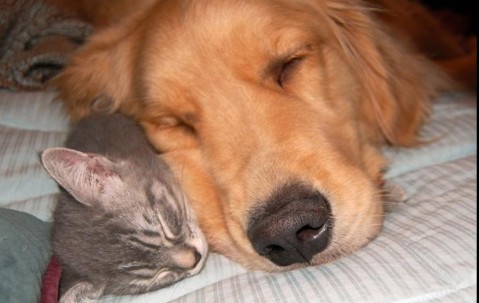 卵泡壁脆（卵泡壁薄是该破了吗）