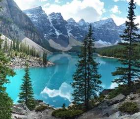 卵泡图结构（卵泡图片分解）