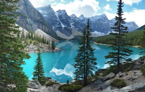 卵泡图结构（卵泡图片分解）