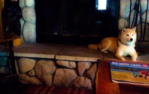 促优质卵泡（促卵泡怎么治疗）