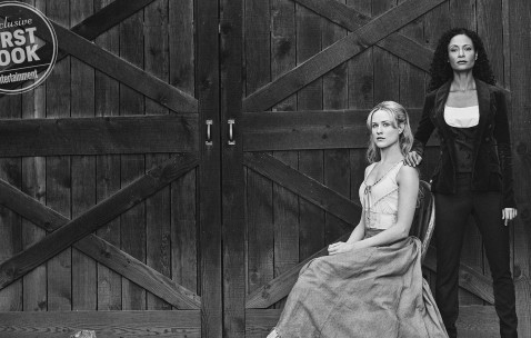 取8个卵泡（取8个卵泡会腹水吗）