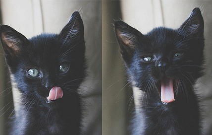 怀孕初期降调（降调节期间怀孕）