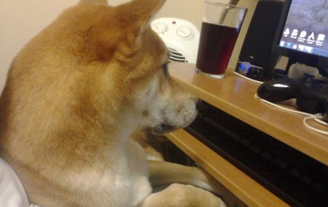 增卵泡的药（增加卵泡的药）