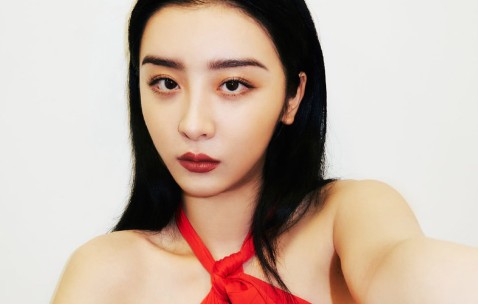 捧卵泡方言（卵泡视频讲解）