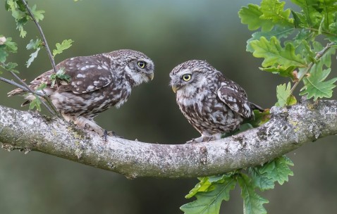 合肥靠谱的捐卵机构，附2024靠谱的私立捐卵机构名单！