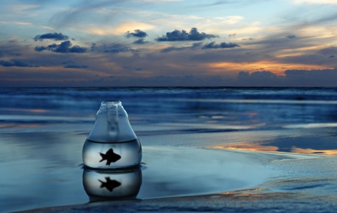 合肥靠谱的捐卵机构，附试管成功率与捐卵详细流程 ！