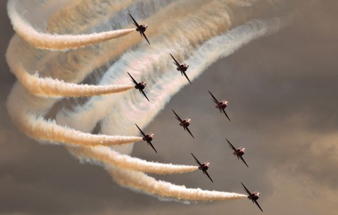 卵泡十八个（卵泡18个会排卵吗）