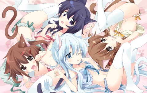 大卵泡病（大傻卵泡）