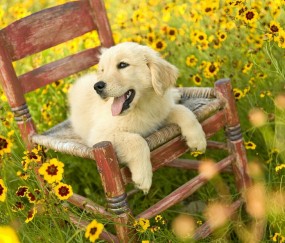 合肥捐卵中介联系方式，最大的捐卵私立机构推荐！