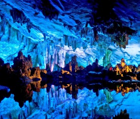 养肝排肝毒的药物食物有哪些?