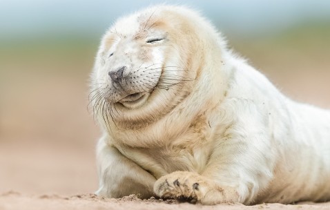 合肥供卵试管价格表公布，供卵试管助孕医院排名汇总！（合肥做试管的公立医院）