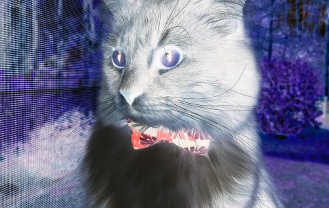 合肥捐卵怎么找正规机构，附正规捐卵机构报名表！