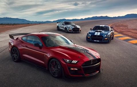 合肥哪家生殖中心有卵子库，附供卵管成功率、费用预算！（合肥生殖中心医院排名）