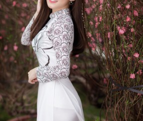 卵泡壁细胞是（卵泡壁是什么）