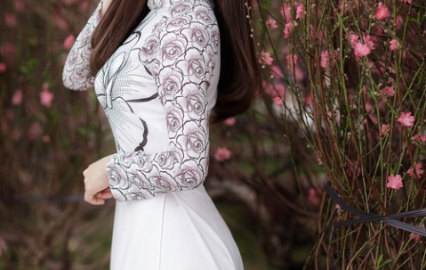 卵泡壁细胞是（卵泡壁是什么）