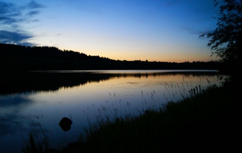 上环后卵泡多（上环后卵泡多大算正常）