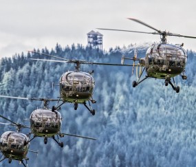 李丽芸卵泡（李丽芸怎么样）