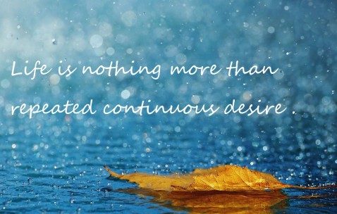 卵泡跟卵巢（卵泡跟卵巢一样大）